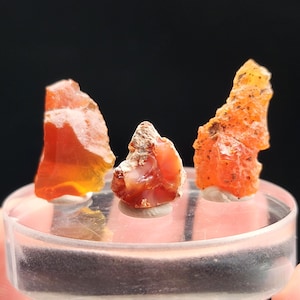 May include: Three raw, uncut opal gemstones in shades of orange and red are displayed on a clear, circular stand. The opals have a rough, natural texture and are mounted on small, white bases. The background is black.