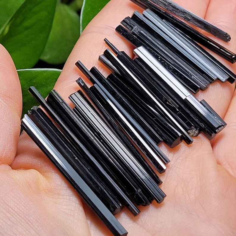 Puede incluir: Colecci&oacute;n de cristales de turmalina negra pulidos. Los cristales son de varios tama&ntilde;os y formas, con una superficie brillante y reflectante. Los cristales se sostienen en una mano abierta, con follaje verde en el fondo.