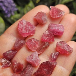 May include: A collection of small, raw, unpolished pink tourmaline gemstones with irregular shapes and translucent, crystalline textures. These vibrant, deep pink mineral fragments display natural facets and jagged edges across their surfaces.