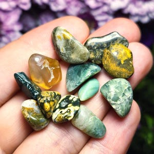 Trommelsteine Ozean Jaspis Lot: Geschliffene Kristalle (10g)