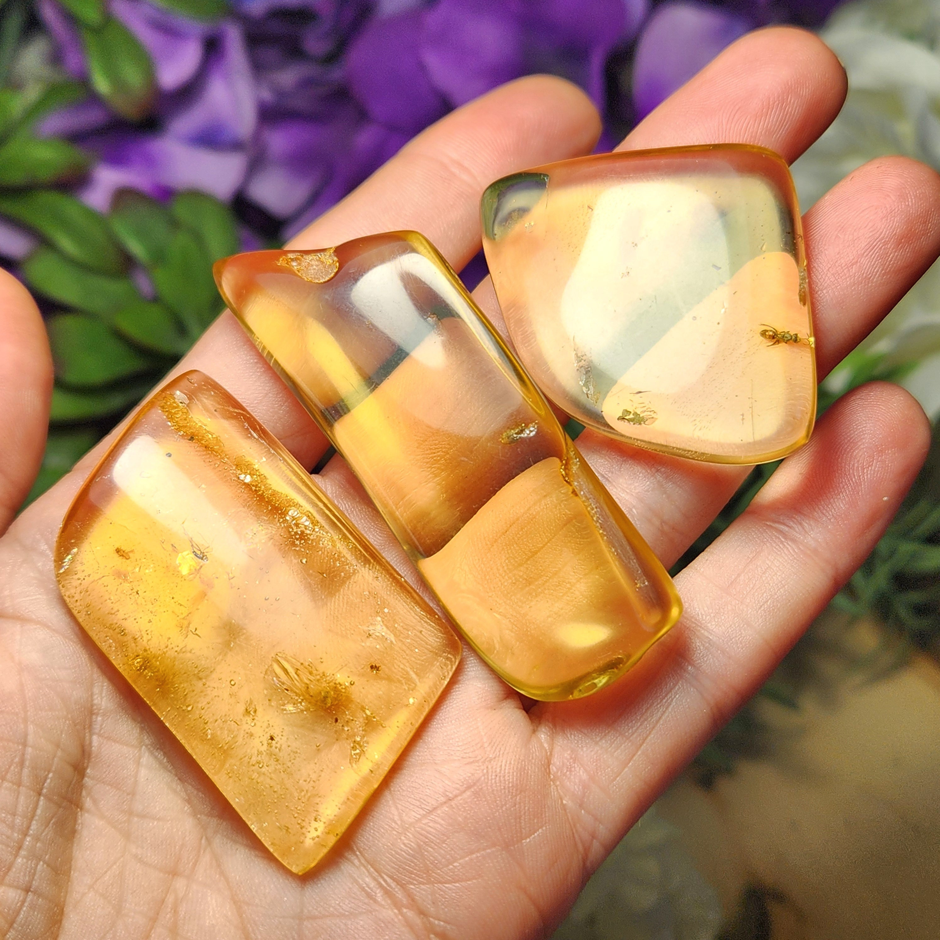Insects in Amber 虫入り琥珀 K18GP ネックレス g48