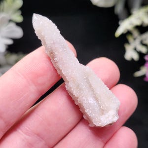 May include: A light-colored quartz crystal cluster with a pointed tip. The crystal has a rough, textured surface and is held in a hand. The background is blurred with hints of white and purple flowers.