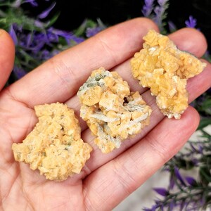 May include: Three pieces of raw, rough-cut crystals in shades of yellow and cream are held in a hand. The crystals have a textured, granular appearance with some areas of white and green. The background features purple flowers.