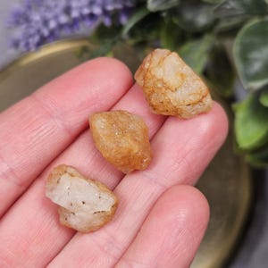 Raw Golden Phenacite Crystal: Nigerian Synergy 12 Stone (2-3 grams)