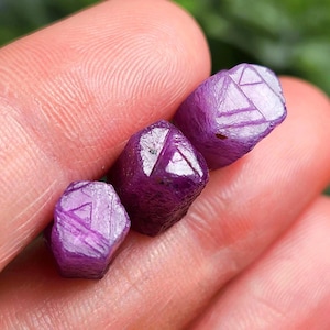 Peut inclure: Trois pierres précieuses de rubis brutes et non taillées de tailles variables. Les pierres précieuses sont d'un violet profond et riche avec des structures cristallines visibles et des motifs géométriques. Les gemmes sont tenues dans une main.