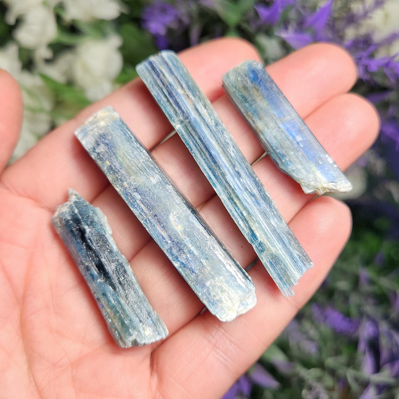 May include: Four blue kyanite crystal points with striations. The crystals are raw and have a natural, rough texture.