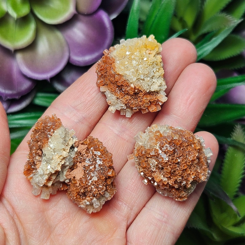 May include: Three small clusters of orange and white crystals. The crystals are in the shape of small, pointed spikes.