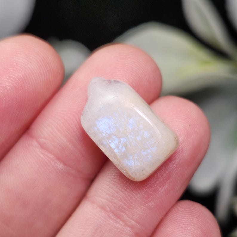 Puede incluir: Una piedra lunar pulida, rectangular, con una base blanca nacarada y destellos azules iridiscentes. La gema se sostiene en una mano, mostrando sus bordes lisos y redondeados y su belleza natural.