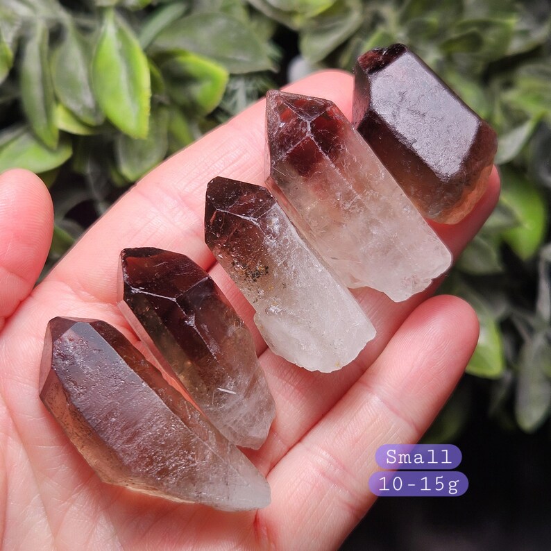 Puede incluir: Una colecci&oacute;n de peque&ntilde;os cristales de cuarzo ahumado en bruto. Los cristales presentan un degradado de marr&oacute;n a transparente, con una forma puntiaguda y facetada. La imagen incluye el texto "Small 10-15g". Los cristales se sostienen en una mano sobre un fondo de follaje verde.