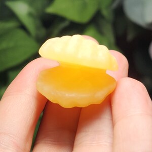 May include: A yellow gummy candy shaped like a clam shell. The candy is open and the inside is visible.