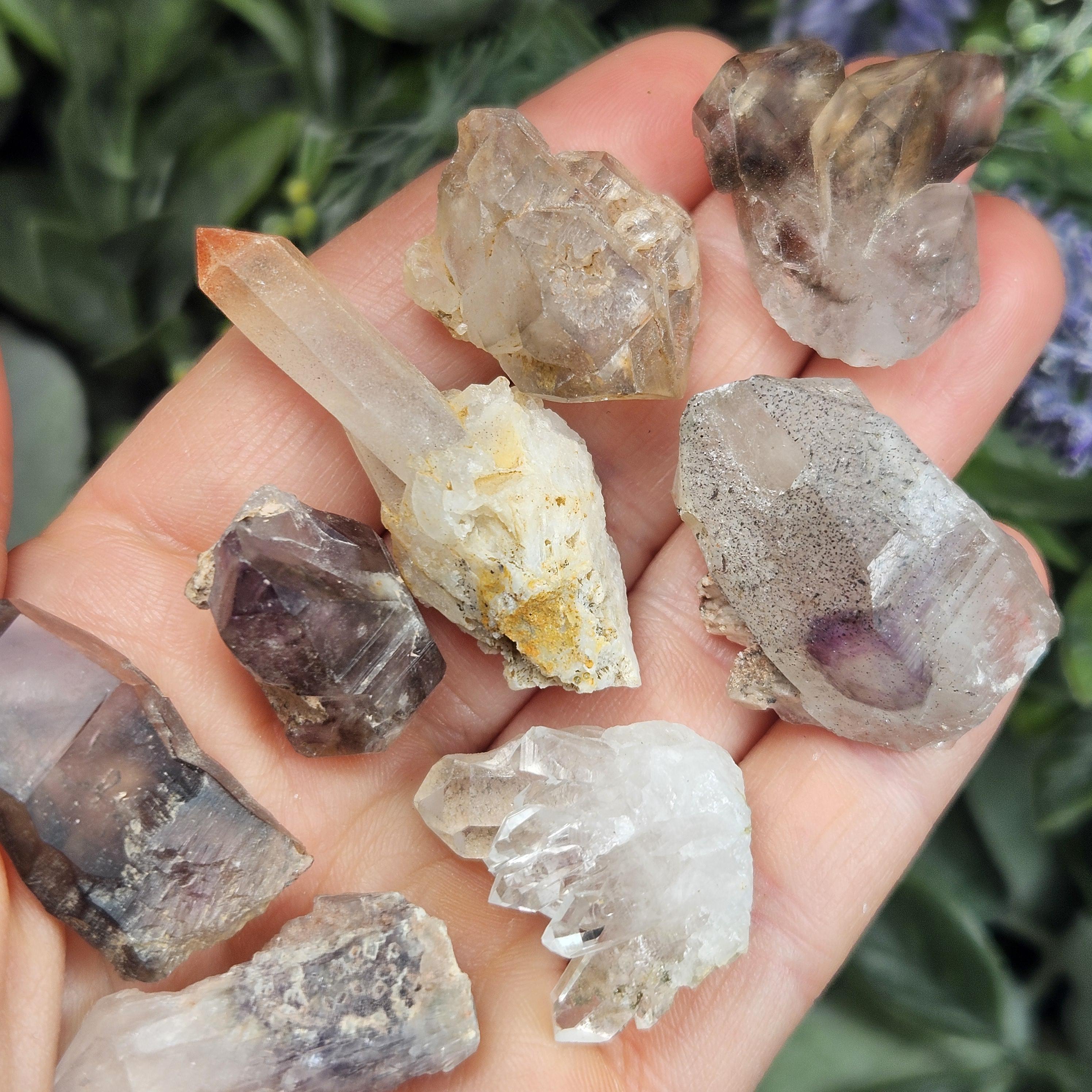 ブランドバーグ クォーツ クリスタル - オールドストック ブランド