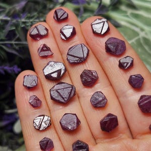 K&ouml;nnte beinhalten: Eine Sammlung von 20 kleinen, facettierten, dunkelroten Rubinkristallen. Die Kristalle sind auf einer Hand angeordnet, wobei sich einige Kristalle &uuml;berlappen.