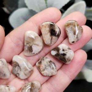 May include: A collection of tumbled stones in shades of brown, cream, and clear. The stones have a smooth, polished surface and varying patterns of color. The stones are held in a hand, showcasing their natural beauty and unique textures. These stones are ideal for crystal healing or decorative purposes.