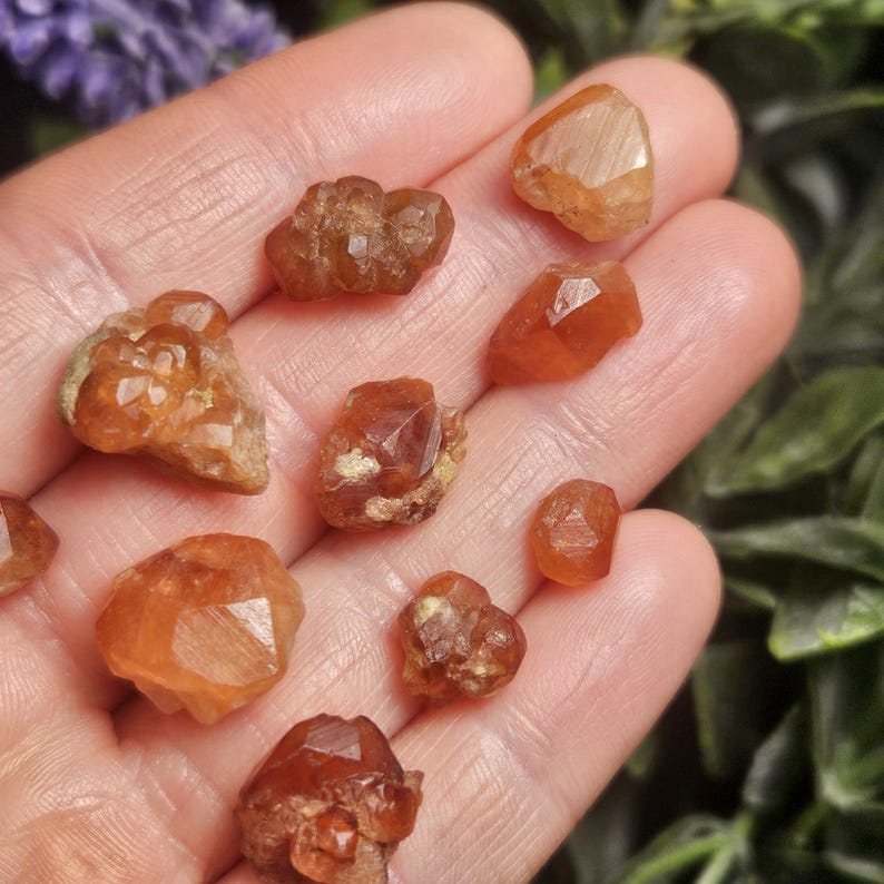 May include: A collection of small, orange-brown crystals with various shapes and sizes. The crystals have a faceted appearance, with some appearing more rounded and others more angular. The crystals are held in a hand, with a blurred green and purple background.