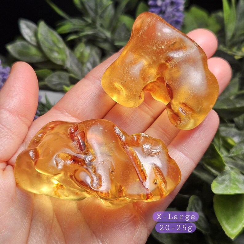 May include: Two pieces of polished, translucent golden-orange amber with visible internal organic inclusions and natural irregular shapes. The text on the image indicates an X-Large size category with a weight range of 20-25 grams.