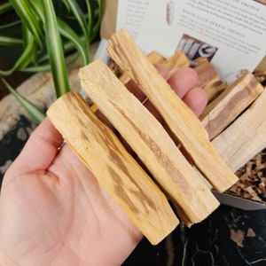 Bâtonnets de Palo Santo / Bâtons de Palo Santo / Palo Santo / Palo Santo en vrac / Encens Palo Santo / Bâtonnet de maculage / Bâton de Palo Santo / Bâton de maculage image 5