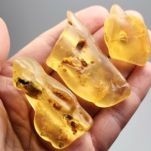 May include: Three polished pieces of translucent yellow amber with irregular shapes. Each piece displays natural internal inclusions, dark brown organic textures, and smooth, rounded edges, showcasing a warm, honey-like golden color throughout.