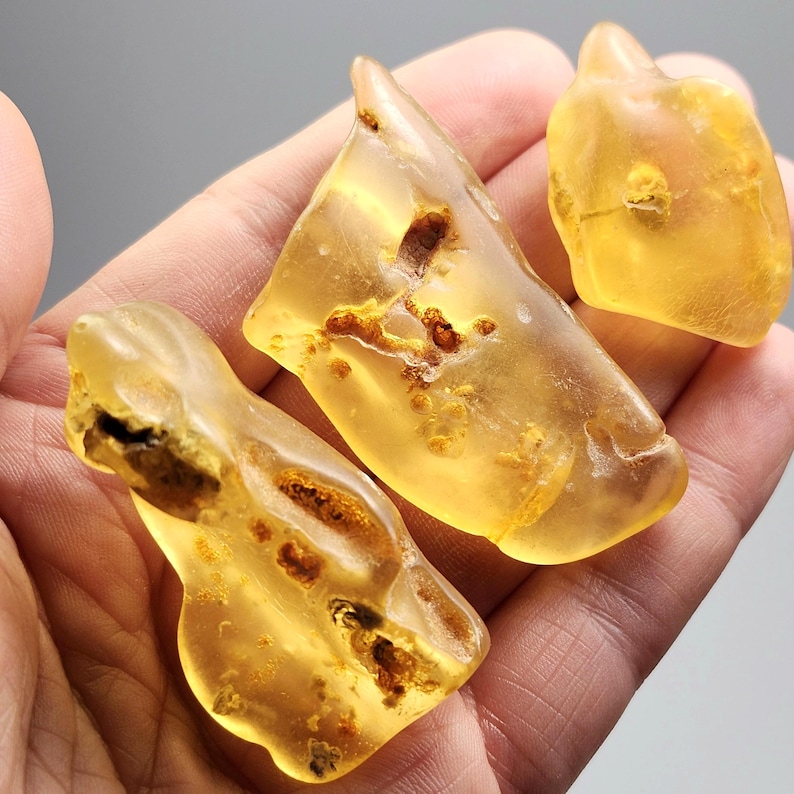 May include: Three polished pieces of translucent yellow amber with irregular shapes. Each piece displays natural internal inclusions, dark brown organic textures, and smooth, rounded edges, showcasing a warm, honey-like golden color throughout.