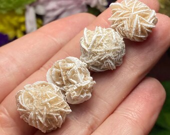 重晶石デザートローズクリスタル - 天然サンドローズ標本 - Etsy 日本