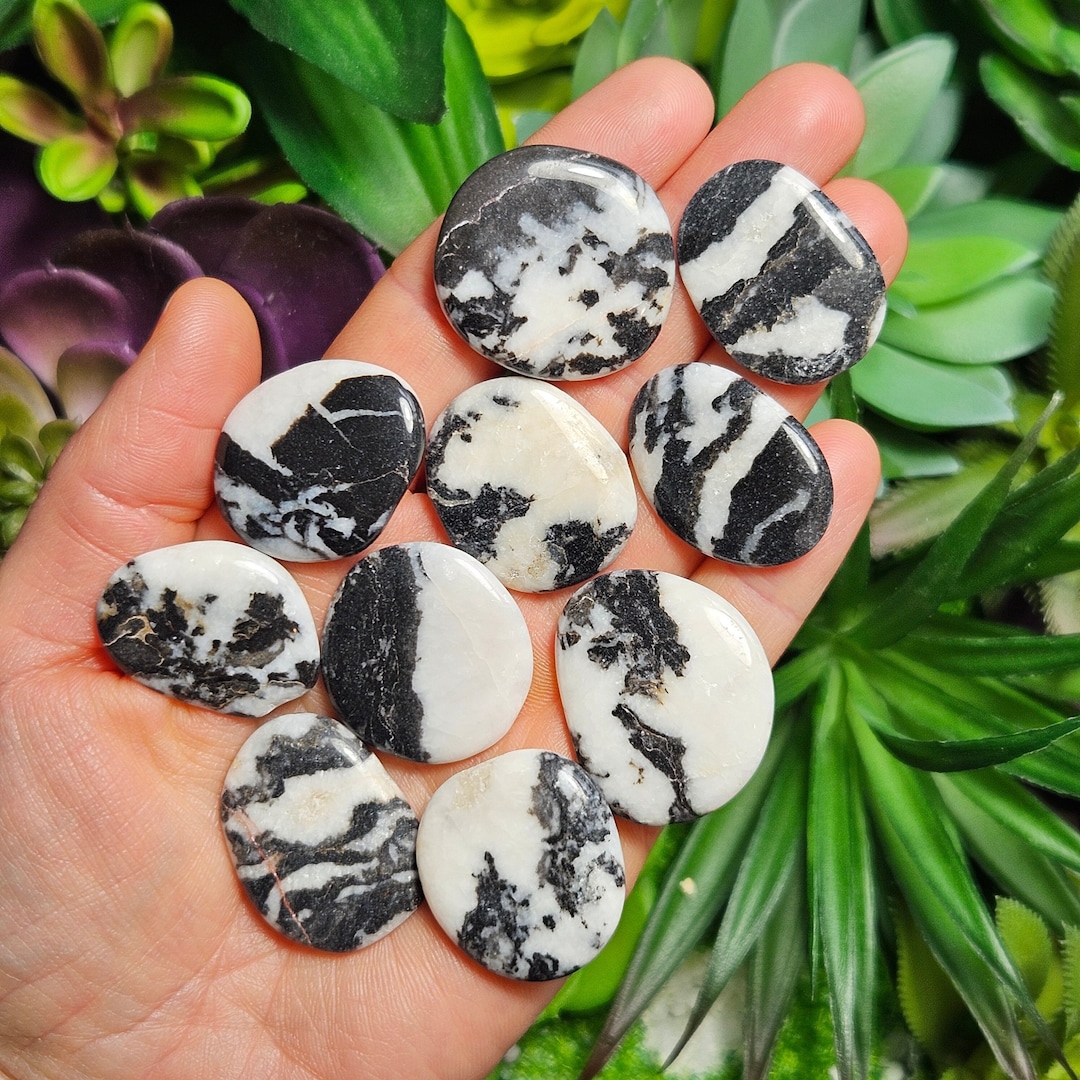 Zebra Jasper Tumbled Stone - Zebra Jasper Crystal - Black & White