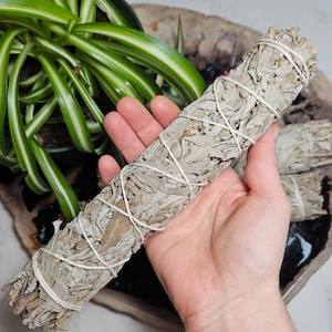 White Sage Smudge Stick Bundle - Cleansing Ritual Incense (9 inch)