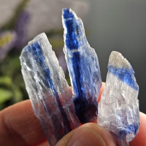 Bicolor Kyanite - Blue Kyanite Crystal - Blue Kyanite Stone - Blue Kyanite Blades - Blue Kyanite Raw - Kyanite Crystal - Bicolored Crystal