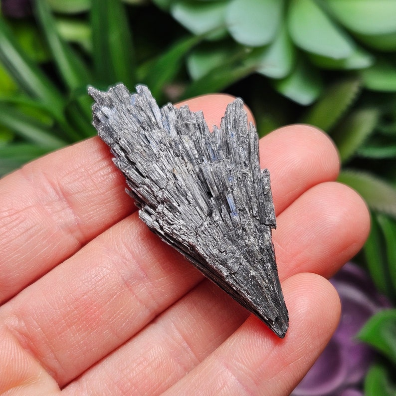 May include: A black kyanite crystal cluster with a fan-shaped formation. The crystal has a silvery sheen and is composed of many thin, needle-like crystals.