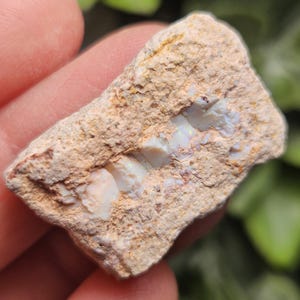 May include: A raw, unpolished rock specimen featuring a central vein of iridescent white opal embedded within a rough, tan-colored matrix. The stone displays a textured, earthy exterior with visible mineral deposits and subtle flashes of color.