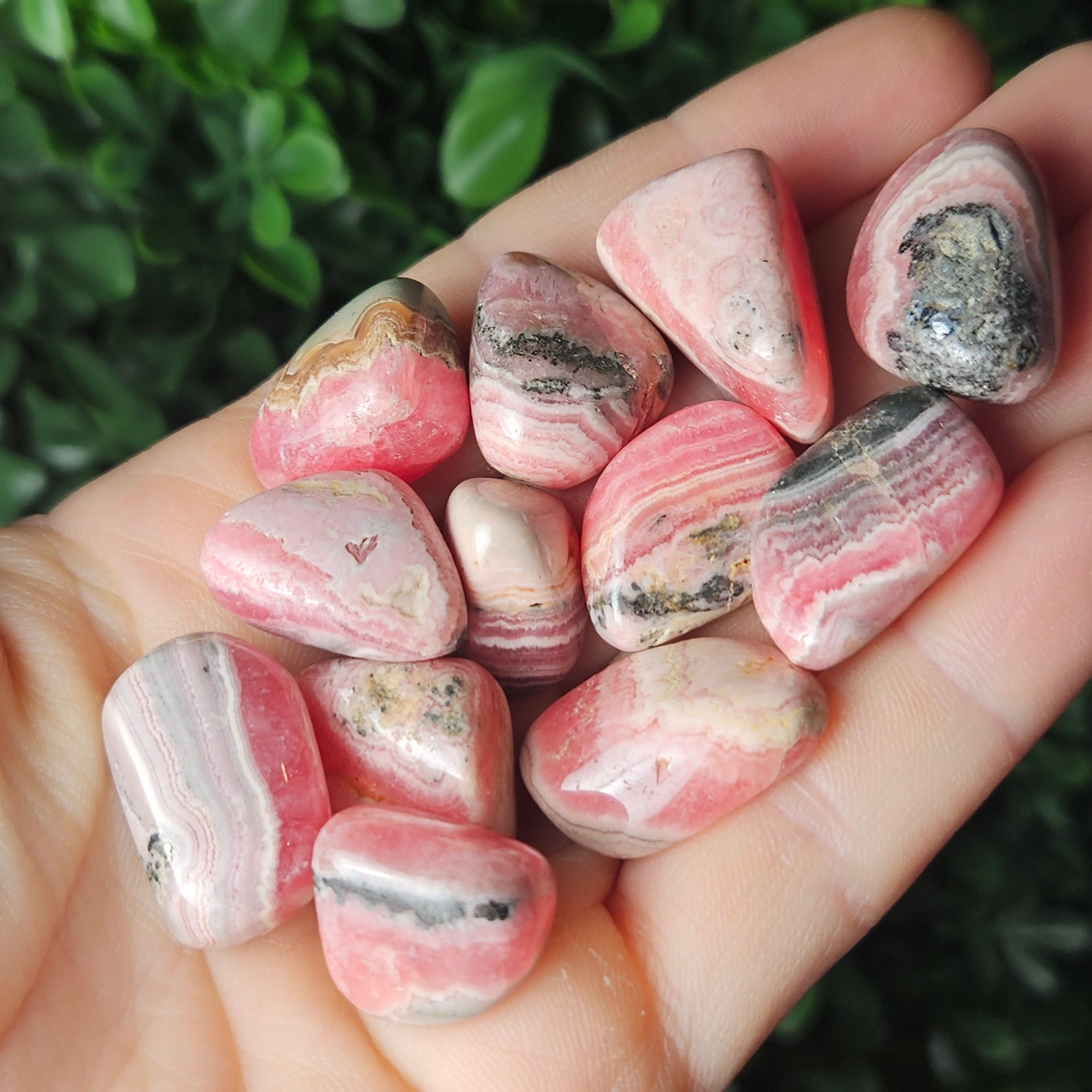 Tumbled pink-and-white Rhodochrosite stones in a hand, calming Leo’s passionate heart with compassion and warmth.