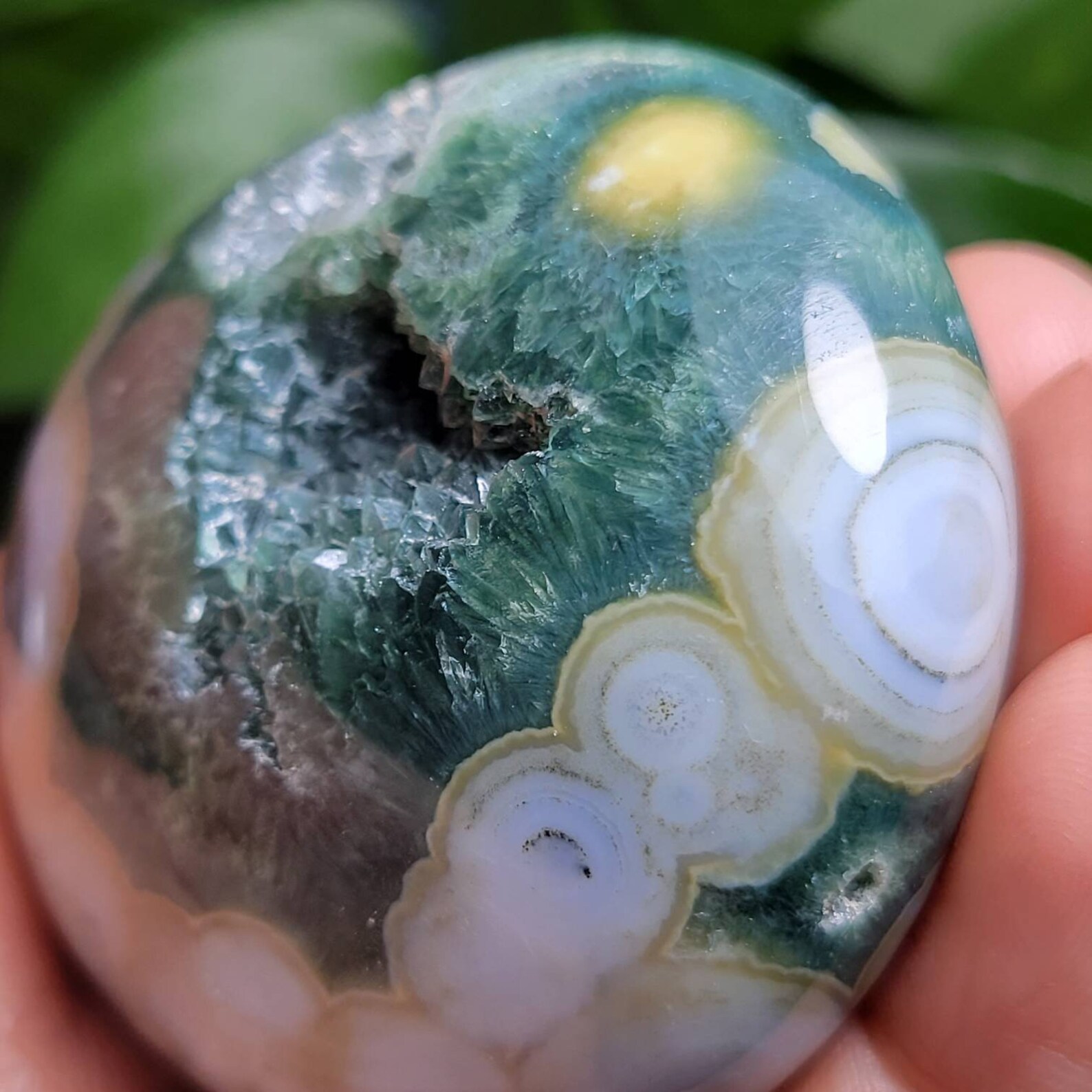 8th VEIN Ocean Jasper / RARE / 8th Vein Ocean Jasper Palm | Etsy