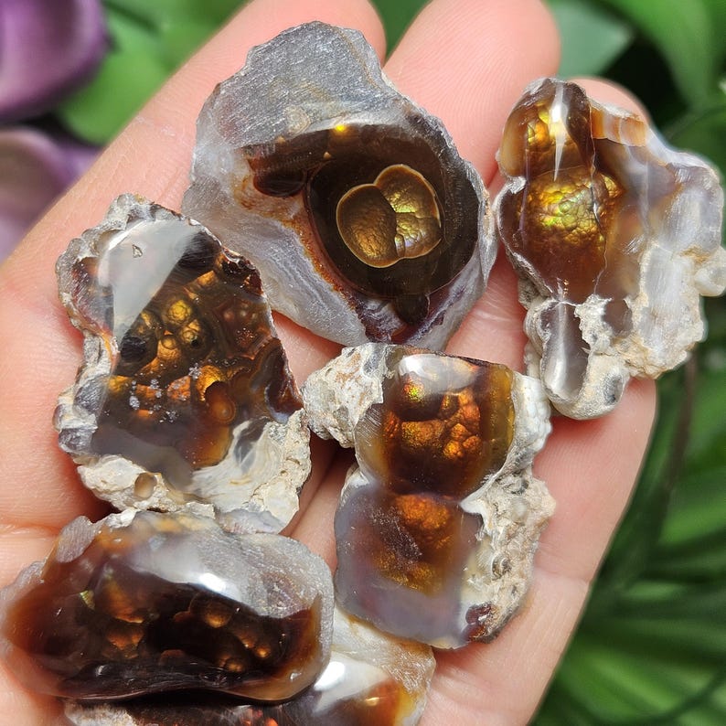 May include: A collection of six agate stones with brown, white, and gold patterns. The stones are rough and have a natural, earthy look.