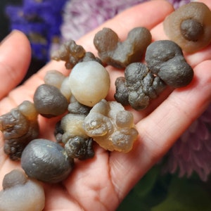 Puede incluir: Una colecci&oacute;n de peque&ntilde;os n&oacute;dulos de &aacute;gata grises y marrones, tambi&eacute;n conocidos como druzy de &aacute;gata, con un n&oacute;dulo de &aacute;gata blanco en el centro. Los n&oacute;dulos son lisos y tienen una forma natural y org&aacute;nica.