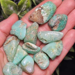 Chrysoprase Tumbled Stone - Grade A - Multiple Sizes Available - Chrysoprase Gemstone from Brazil - Tumbled Green Chrysoprase Crystal image 12
