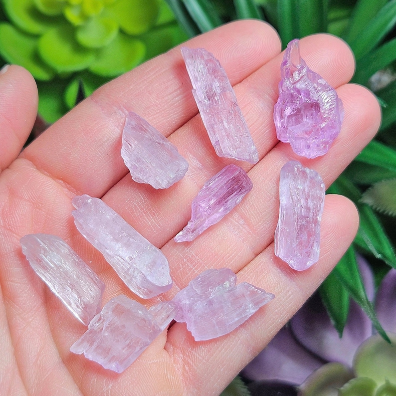 May include: A collection of small, pale pink, translucent, and striated crystals. The crystals are arranged on a hand, with some of the crystals appearing to be pointed.