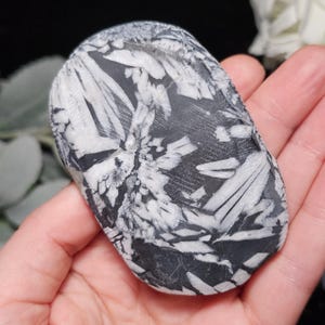 May include: A black and white stone with a unique pattern of white, crystalline formations against a dark background. The stone is oval-shaped and smooth, with a polished appearance. The intricate design resembles a natural artwork.