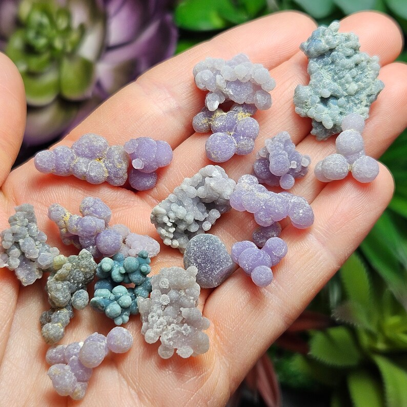 May include: A selection of botryoidal chalcedony gemstones, resembling tiny grapes, in lavender, grey, and teal hues. The clusters are held in a hand, highlighting their rounded shapes and diverse textures. The background shows blurred green foliage.