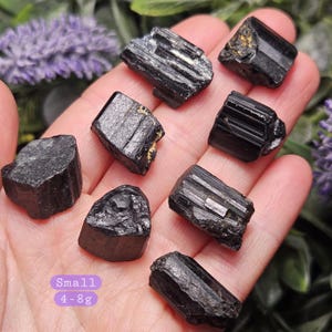 Peut inclure: Un ensemble de huit cristaux de tourmaline noire brute aux surfaces stri&eacute;es et aux formes irr&eacute;guli&egrave;res. Les pierres sont sombres, opaques et de tailles vari&eacute;es, avec une &eacute;tiquette violette indiquant un poids de 4 &agrave; 8g pour ces sp&eacute;cimens.