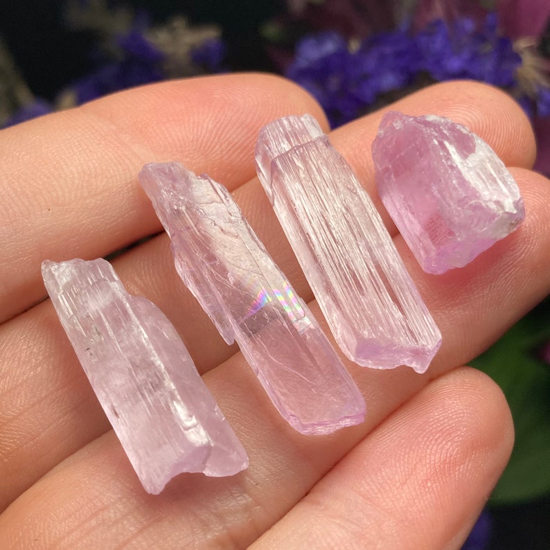 May include: Four pink selenite crystal points with striations. The crystals are translucent and have a slight iridescent sheen.