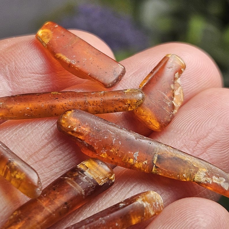May include: Close-up of several pieces of amber, a translucent fossilized resin. The amber pieces are various shapes and sizes, with a warm, golden-brown color. Some pieces have visible inclusions and textures.