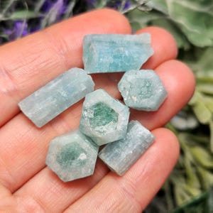 K&ouml;nnte beinhalten: Eine Sammlung roher Aquamarinkristalle in verschiedenen Formen und Gr&ouml;&szlig;en. Die Kristalle zeigen einen blassblau-gr&uuml;nen Farbton, wobei einige ein tieferes gr&uuml;nes Zentrum aufweisen. Die Edelsteine werden in einer Hand gehalten, mit einem verschwommenen Hintergrund aus Gr&uuml;n und lila Blumen.