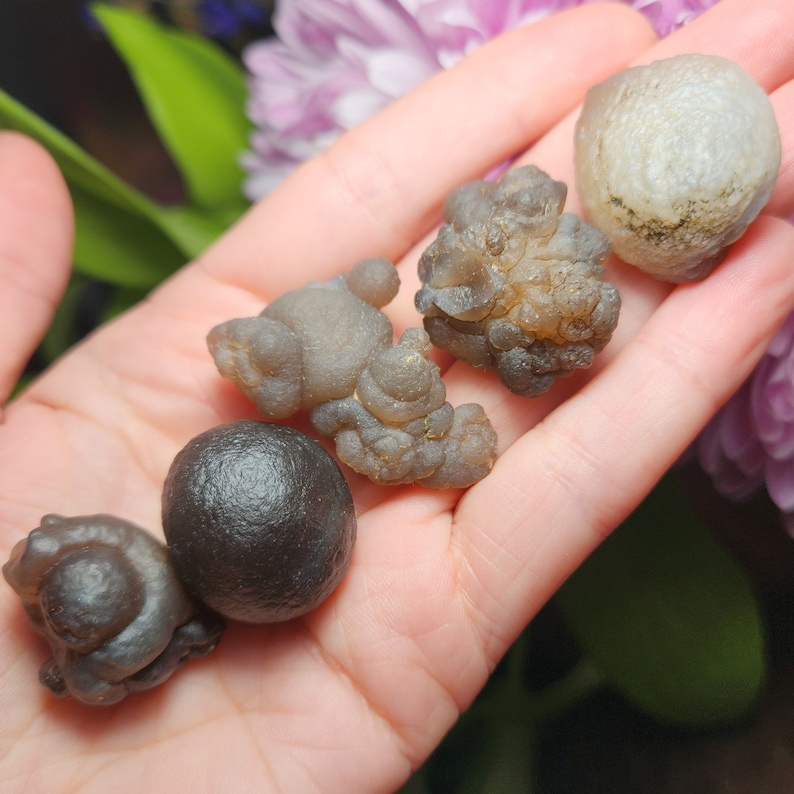 Puede incluir: Una colecci&oacute;n de seis n&oacute;dulos de &aacute;gata grises y marrones, algunos con una superficie lisa y otros con una textura rugosa y nudosa. Los n&oacute;dulos est&aacute;n dispuestos en una mano.