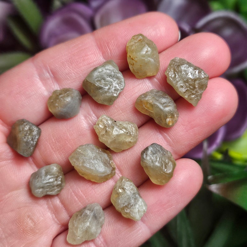 Puede incluir: Una colecci&oacute;n de piedras preciosas en bruto, sin cortar, en tonos beige y gris. Las piedras tienen una textura rugosa y natural y se muestran en una mano. El fondo presenta un follaje verde y morado borroso.