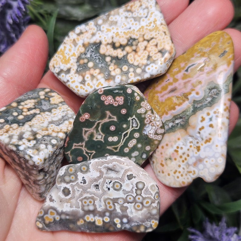 Puede incluir: Una colecci&oacute;n de cinco piedras de jaspe oce&aacute;nico pulidas con patrones orbiculares distintos. Las piedras muestran una variedad de colores que incluyen crema, amarillo mostaza, verde bosque y rosa suave, con inclusiones circulares en las superficies.
