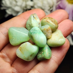 May include: A collection of polished green chrysoprase stones, varying in shape and size, held in a hand. The stones display a range of light to medium green hues, with some showing subtle brown and yellow markings. The smooth, rounded stones are ideal for jewelry or collecting.