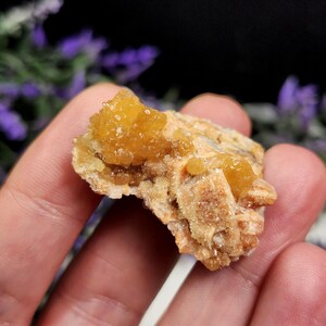 May include: A close-up of a rough, natural mineral specimen. The mineral features a cluster of small, sparkling, golden-yellow crystals atop a beige and tan matrix. The specimen is held in a hand, with a blurred background of purple flowers.