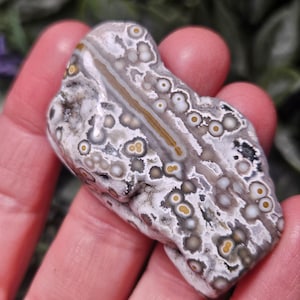 Puede incluir: Una piedra de jaspe oce&aacute;nico pulida que presenta un patr&oacute;n complejo de orbes circulares en tonos blanco, gris y negro, con una banda central prominente de color tostado y marr&oacute;n. La superficie es lisa y brillante, mostrando inclusiones minerales.