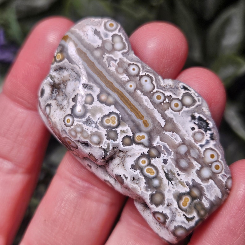 Puede incluir: Una piedra de jaspe oce&aacute;nico pulida que presenta un patr&oacute;n complejo de orbes circulares en tonos blanco, gris y negro, con una banda central prominente de color tostado y marr&oacute;n. La superficie es lisa y brillante, mostrando inclusiones minerales.