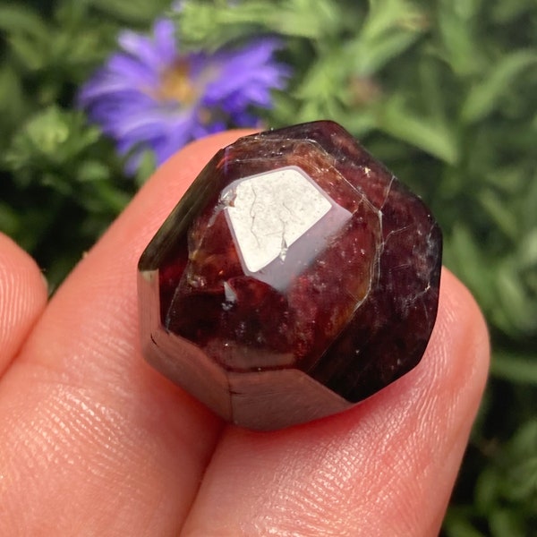 Polished Garnet / Garnet Dodecahedron / Tumbled Garnet / Red Garnet / Faceted Garnet / Garnet Specimen / Red Garnet Crystal / Garnet Crystal