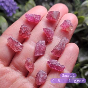 May include: A collection of small, raw, pink tourmaline crystals with irregular, faceted surfaces. The stones vary in shape and size, with a purple text overlay in the bottom right corner stating: Small 0.5 - 1 gram.