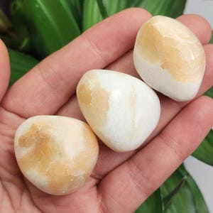 May include: Three tumbled stones with a smooth, polished appearance. The stones are primarily white with patches of light orange and tan. The stones are held in a hand, with green foliage in the background. The stones are oval-shaped.